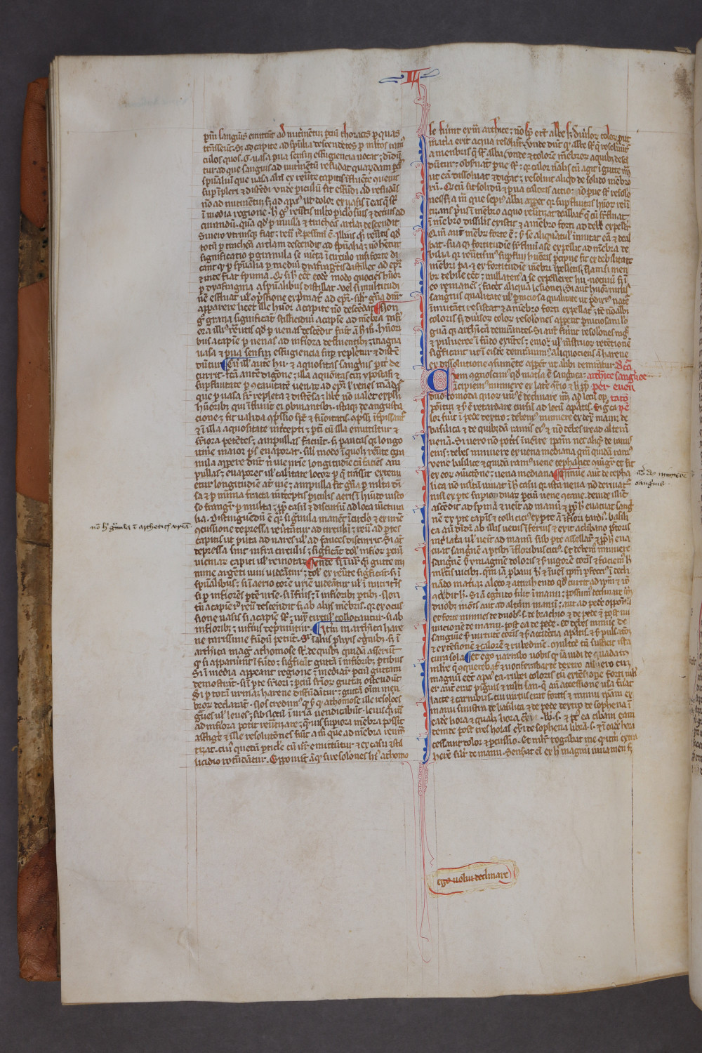 Folio 143 verso
